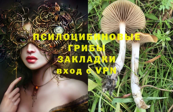герыч Магас