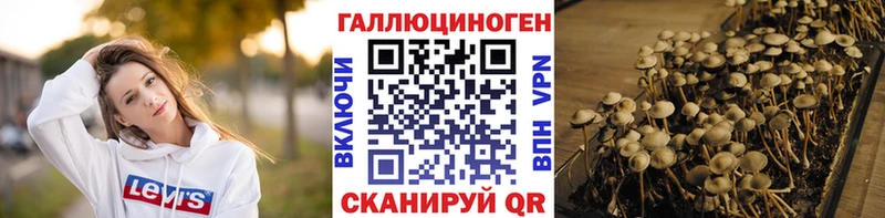 Галлюциногенные грибы Cubensis  Ак-Довурак 
